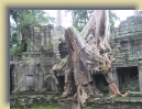 Angkor (186) * 1600 x 1200 * (1.32MB)